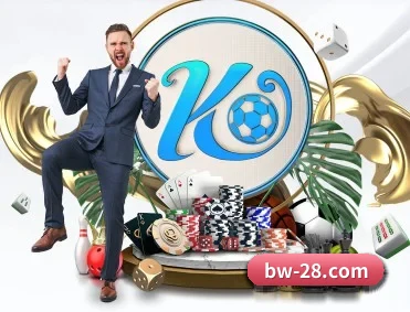 加拿大28 APP