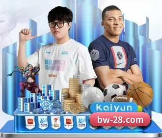 加拿大28 APP